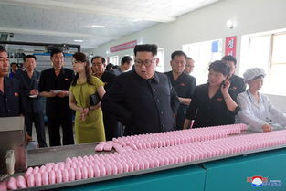 朝中邊境的紡織圖景 金正恩視察背后的經(jīng)濟信號與區(qū)域觀察